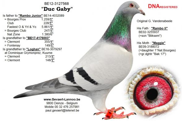 Duc Gaby       BE12-3127568