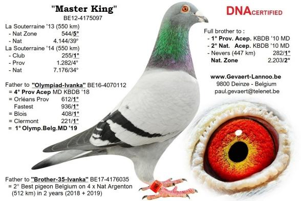 Master King                        BE12-4175097