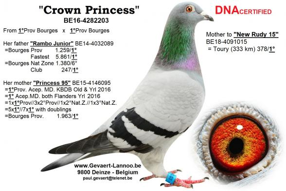 Crown Princess BE16-4282203