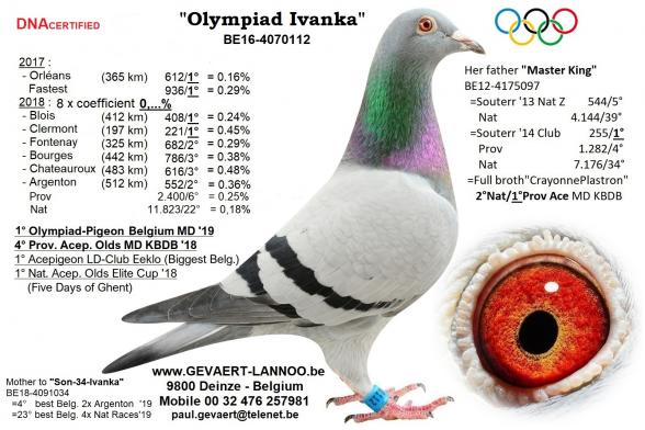 Olympiad-Ivanka BE16-4070112
