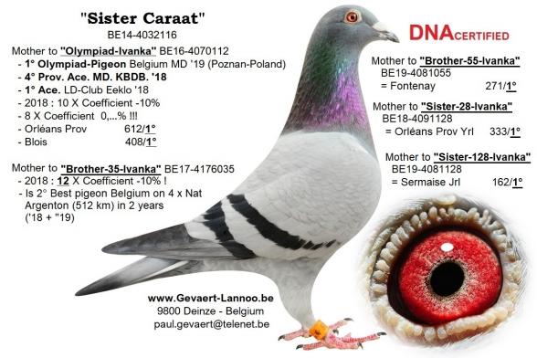 Sister Caraat          BE14-4032116