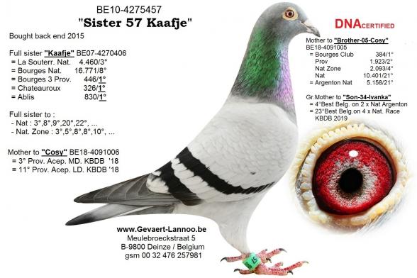 Sister-57-Kaafje     BE10-4275457