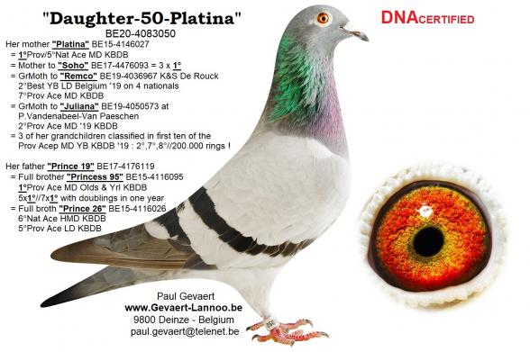 Dghtr-50-Platina                    BE20-4083050